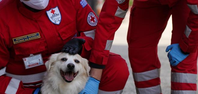 Ο Ελληνικός Ερυθρός Σταυρός τίμησε την Παγκόσμια Ημέρα Ζώων