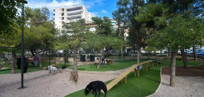 Δύο πρωτοποριακά πάρκα με δραστηριότητες μόνο για σκύλους στην Αθήνα