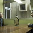 ''The Penguin Lessons''