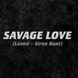Savage Love
